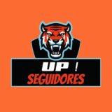 Up! SEGUIDORES | TURBINE SEU PERFIL 🚀🔥