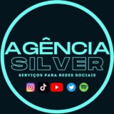 Agência Silver Seguidores 🚀🇧🇷