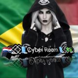 Cyber room