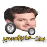 AracnoSpider-Chat