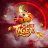 FORTUNE TIGER – PREMIUM 🐯