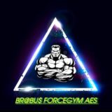 Br@bu$ ForceGYM 3 aes