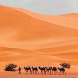 Viagem a Marrocos 🇲🇦🐪