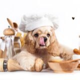 30 receitas para pets