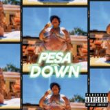 Pesa-down