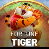 Fortune tigre