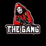 THE GANG DIÁRIOS/CAMP