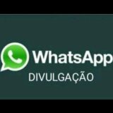 🐾🐈‍⬛ Mimo Divulgações 📲🔁