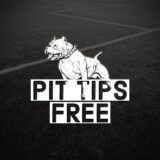 PIT TIPS | FREE