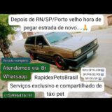 Rapidex PETS Brasil 🐾🚐
