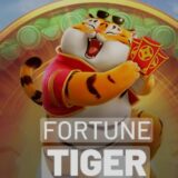 Horários pagante fortune tiger