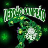 Grupo Meu 💚 Palmeiras.