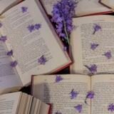 ♥︎︎‿︎♥︎︎︎ʙᴇɪᴊᴏs&ᴅʀᴀɢᴏ̄ᴇs♥︎︎‿︎♥︎︎︎