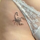 🍇 ⋆ 🍓  🎀░E░S░C░O░R░P░I░Ã░O░ 💗😍░A░P░A░I░X░O░N░A░D░O░  🎀  🍓 ⋆ 🍇