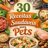 Receitas saudáveis para seu pet