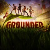 GROUNDED COM AMIGOS 2