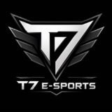 T7 e-sports