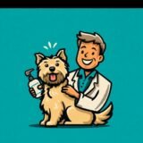 Cuidados Pet 🐾