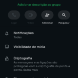 GRUPO VIP — SHEIN
