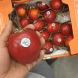 TIGRINHO Q PAGA